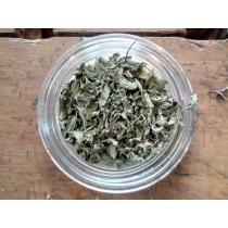 Menta piperita bio